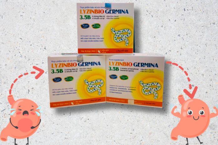 Men Ống Ly Zinbio Germina: Giải pháp bổ sung lợi khuẩn hỗ trợ tiêu hóa và cải thiện sức khỏe đường ruột